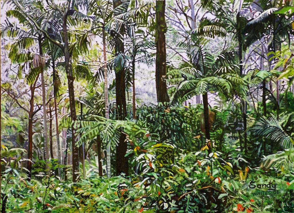 YARRAHAPINNI TRAIL